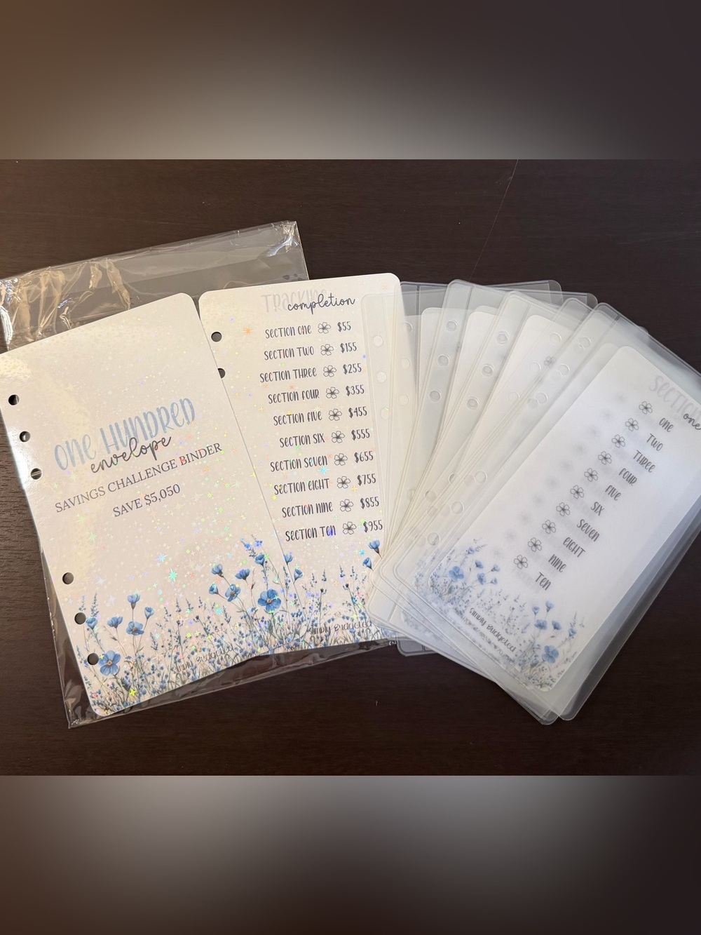 100 Envelope Savings Challenge